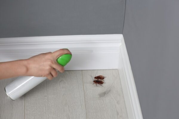 losungengegenkakerlakenwww.ghilotina