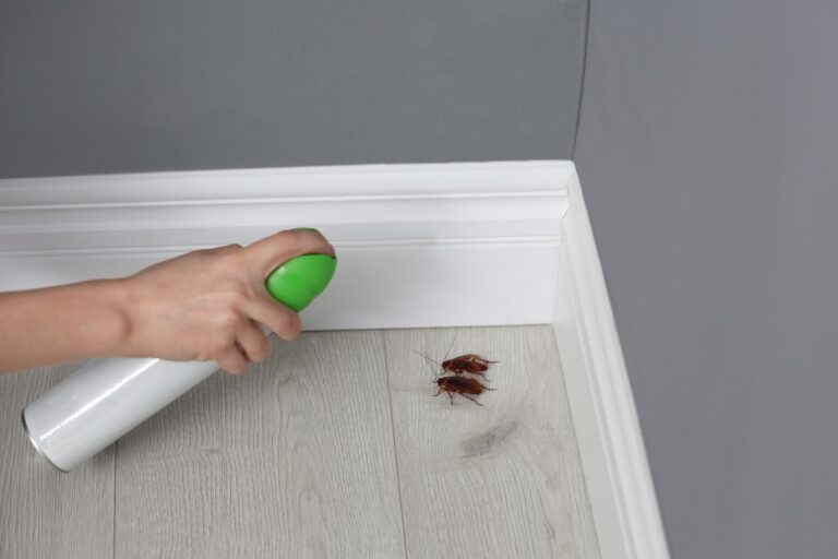 losungengegenkakerlakenwww.ghilotina